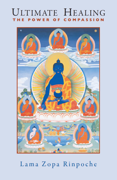 Cover image for book Ultimate Healing