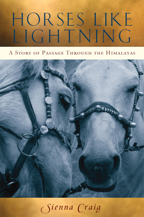 Cover image for book Horses Like Lightning