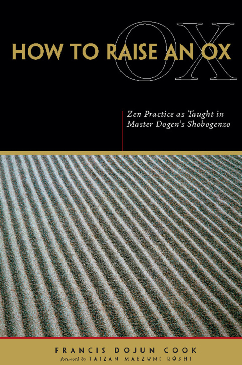 Cover image for book How to Raise an Ox