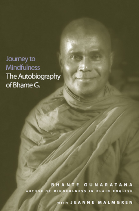Cover image for book Journey to Mindfulness