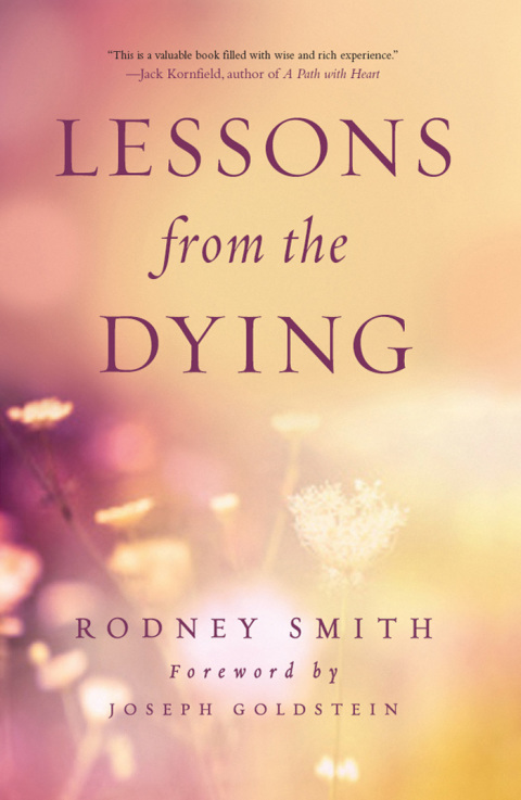 Cover image for book Lessons from the Dying