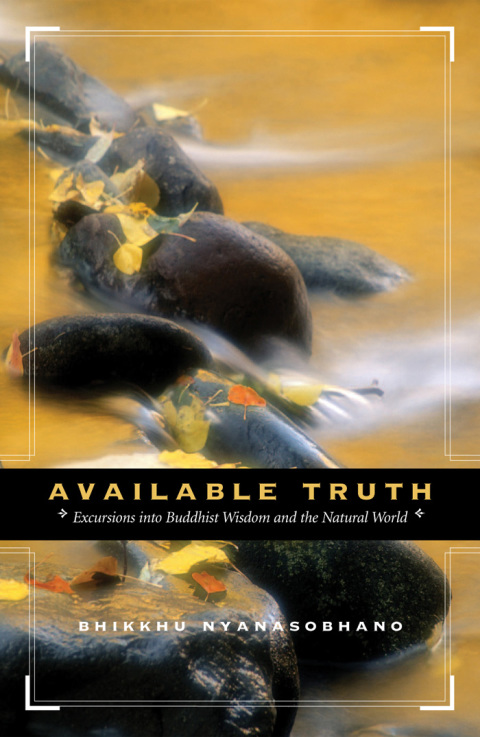 Cover image for book Available Truth