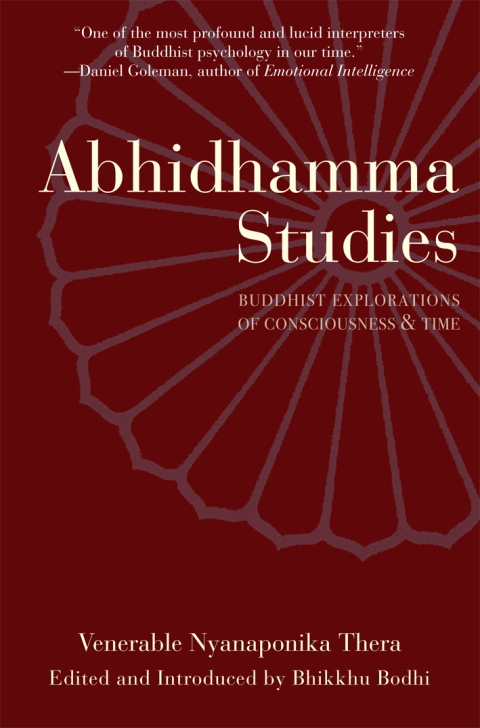 Cover image for book Abhidhamma Studies
