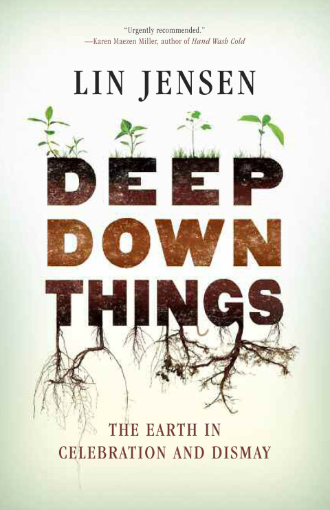 Cover image for book Deep Down Things