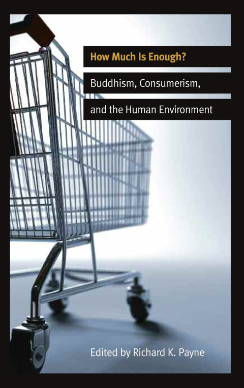 Cover image for book How Much is Enough?