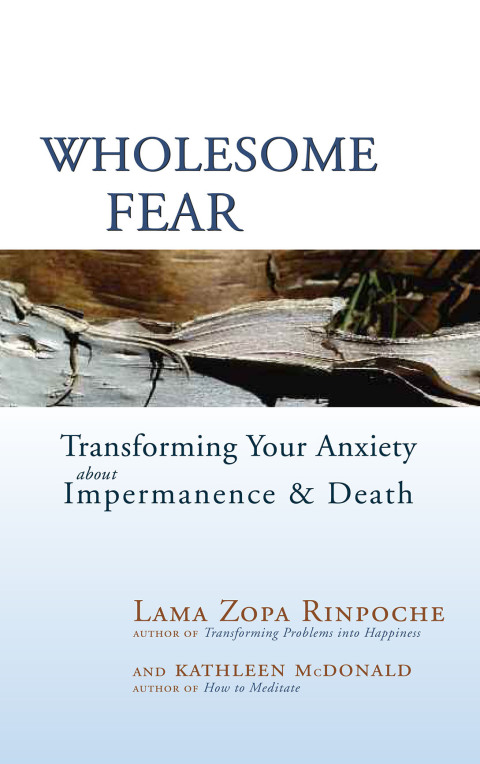 Cover image for book Wholesome Fear
