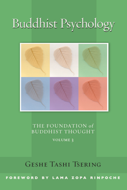 Cover image for book Buddhist Psychology