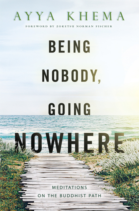 Cover image for book Being Nobody, Going Nowhere