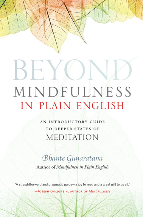 Cover image for book Beyond Mindfulness in Plain English