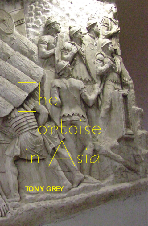 Cover image for book The Tortoise in Asia