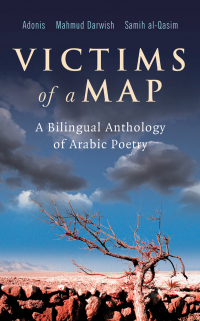 Cover image: Victims of a Map 9780863565243