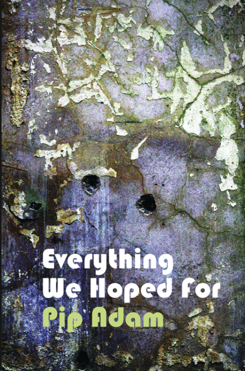 Cover image for book Everything We Hoped For