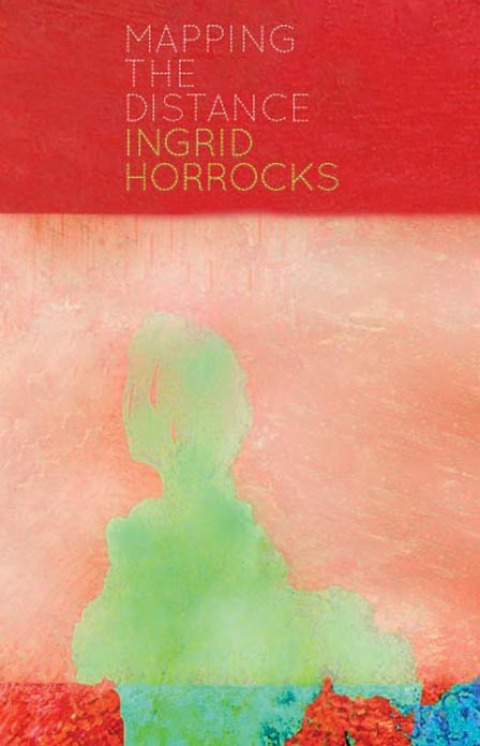 Cover image for book Mapping the Distance