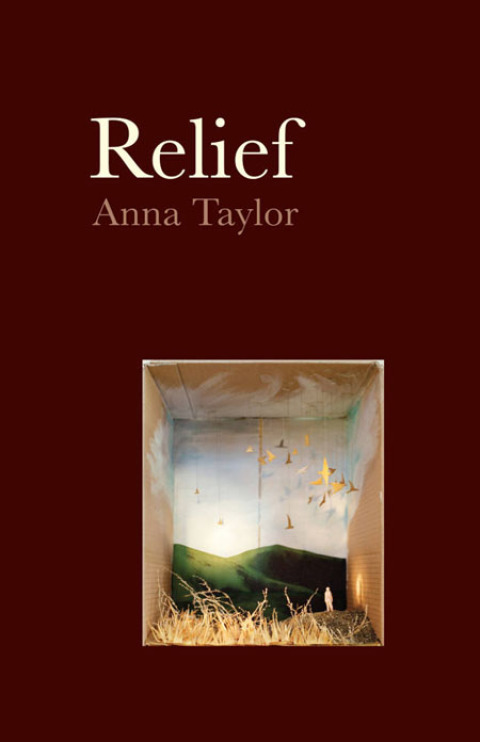 Cover image for book Relief