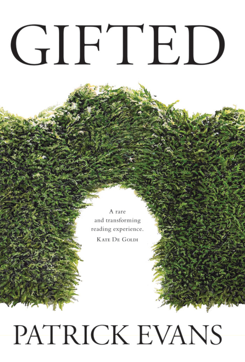 Cover image for book Gifted