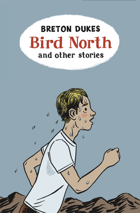 Cover image for book Bird North and Other Stories