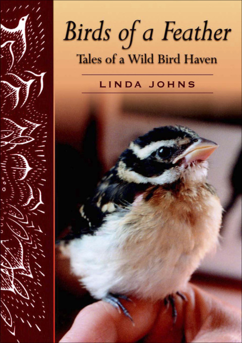 Cover image for book Birds of a Feather