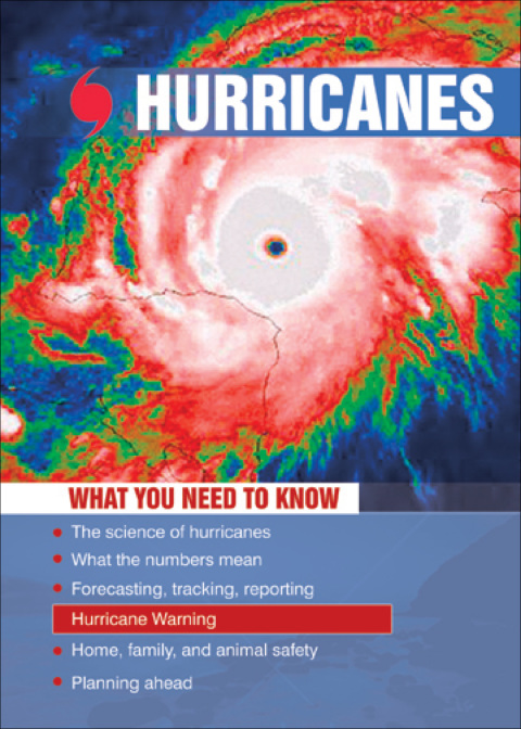 Cover image for book Hurricanes