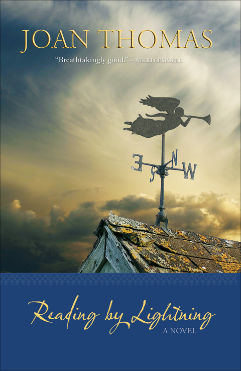 Cover image for book Reading by Lightning