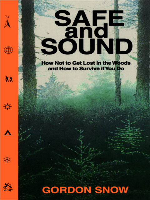 Cover image for book Safe and Sound