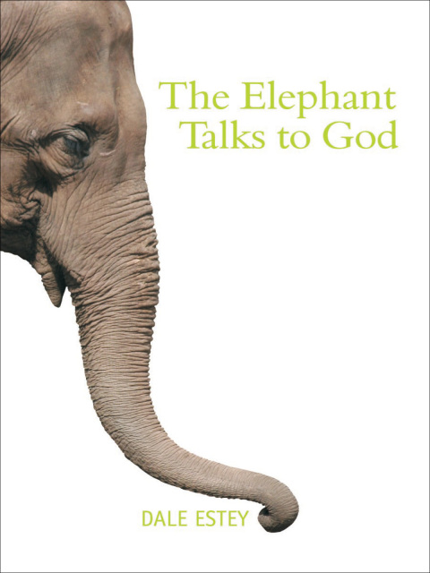 Cover image for book The Elephant Talks to God