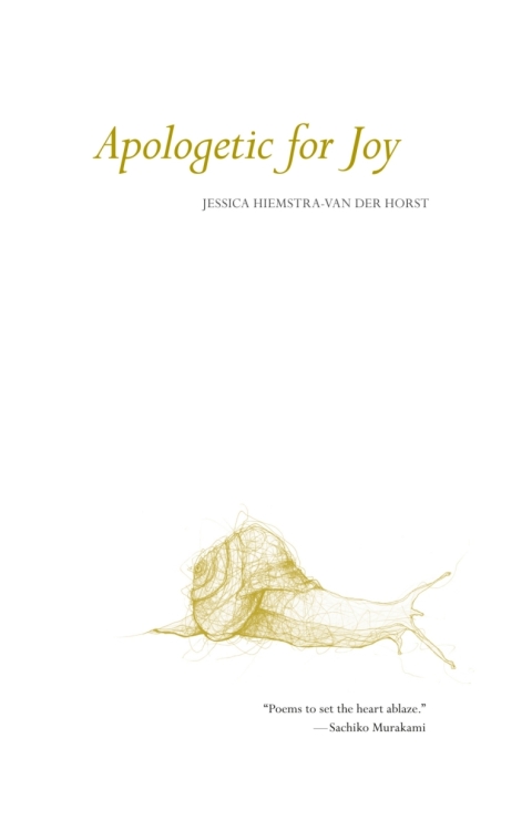 Cover image for book Apologetic for Joy