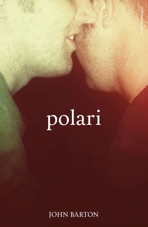 Cover image for book Polari