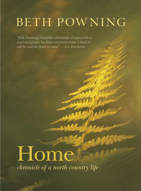 Cover image for book Home