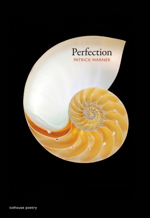 Cover image for book Perfection