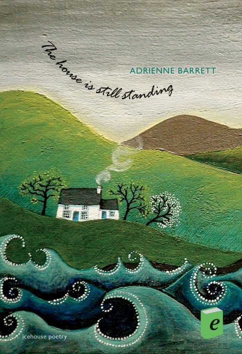 Cover image for book The house is still standing