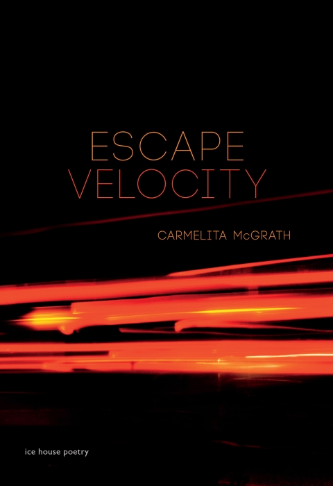 Cover image for book Escape Velocity