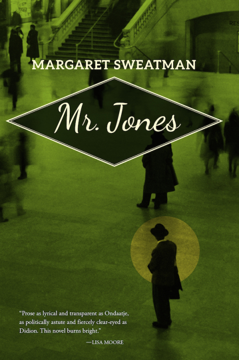 Cover image for book Mr. Jones