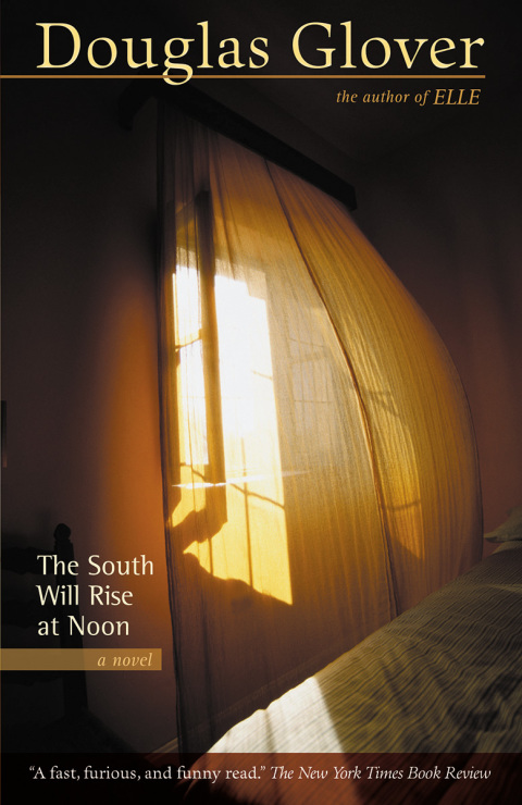 Cover image for book The South Will Rise at Noon