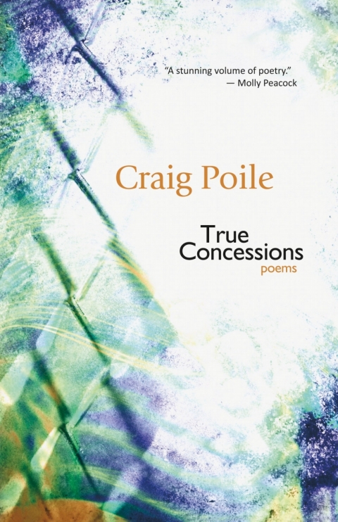 Cover image for book True Concessions