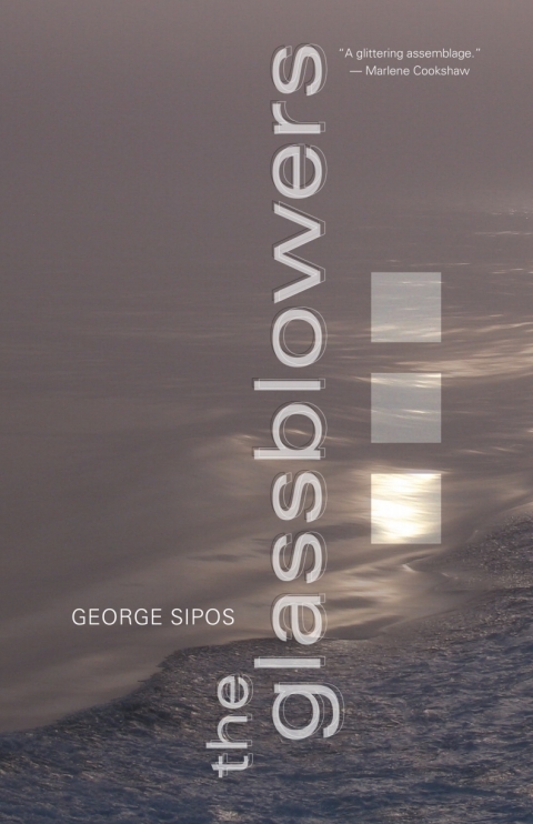 Cover image for book The Glassblowers