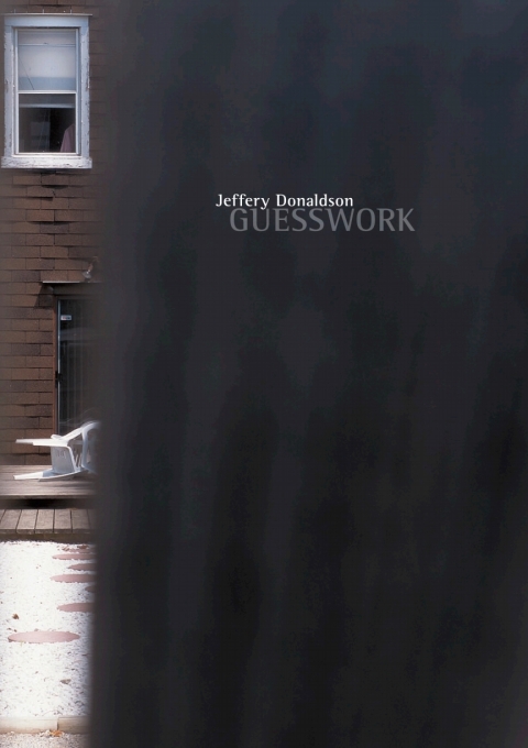 Cover image for book Guesswork