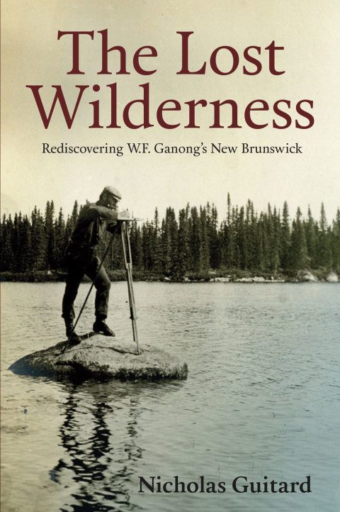 Cover image for book The Lost Wilderness