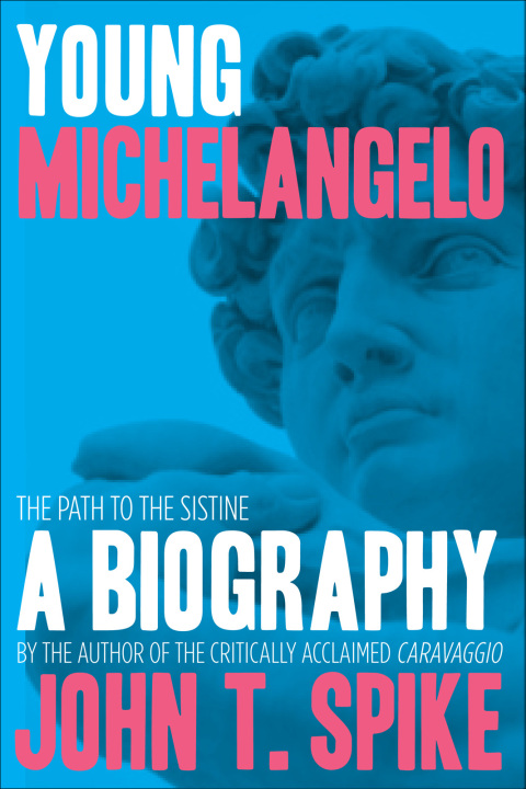 Cover image for book Young Michelangelo