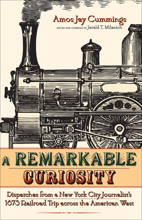 Cover image for book Remarkable Curiosity