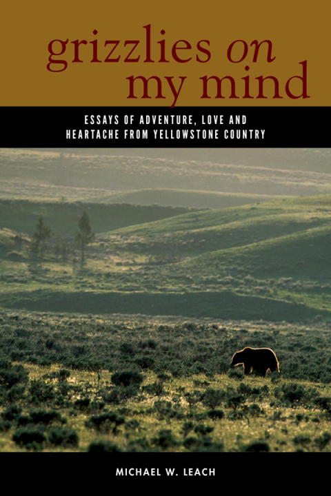 Cover image for book Grizzlies On My Mind