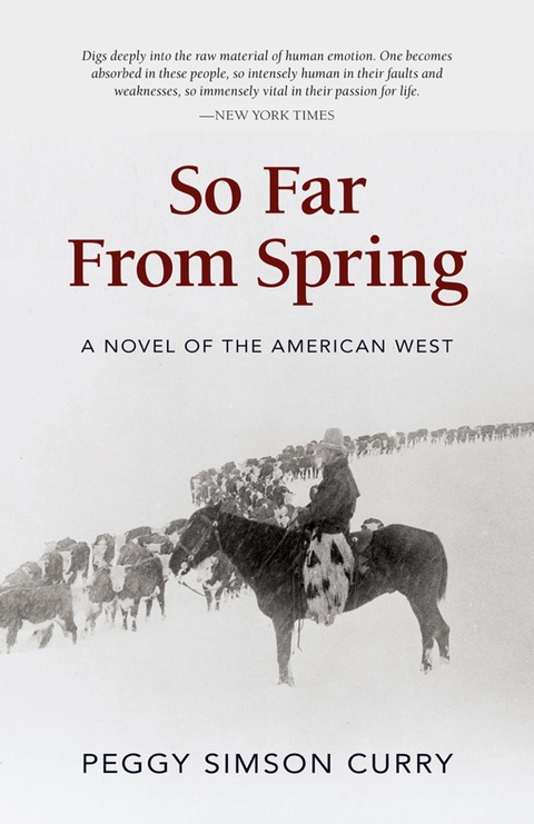 Cover image for book So Far from Spring