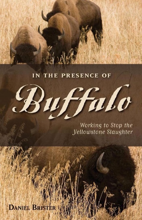Cover image for book In the Presence of Buffalo
