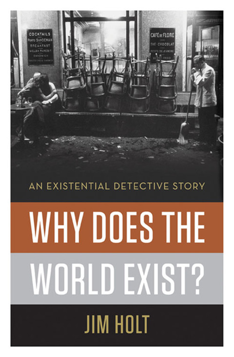 Cover image for book Why Does the World Exist?