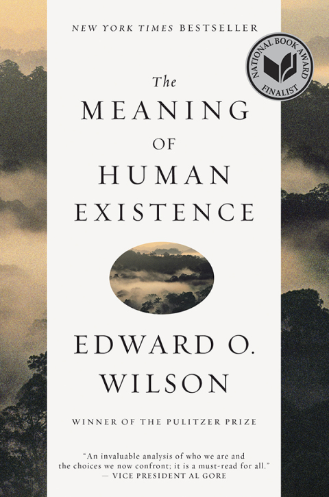 Cover image for book The Meaning of Human Existence