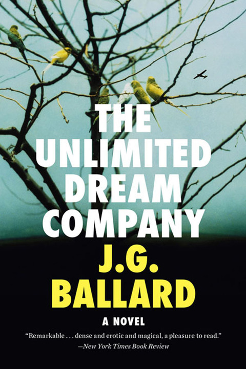 Cover image for book The Unlimited Dream Company