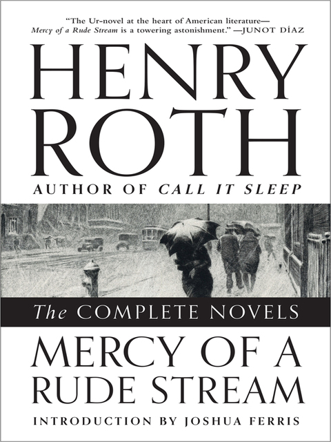 Cover image for book Mercy of a Rude Stream
