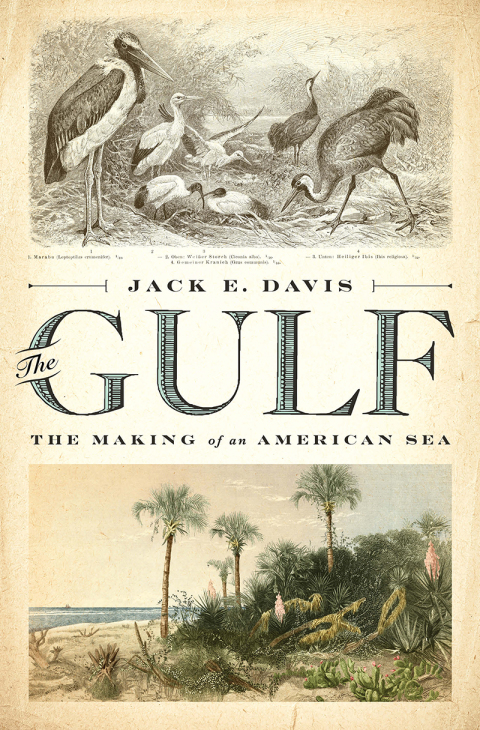 Cover image for book The Gulf