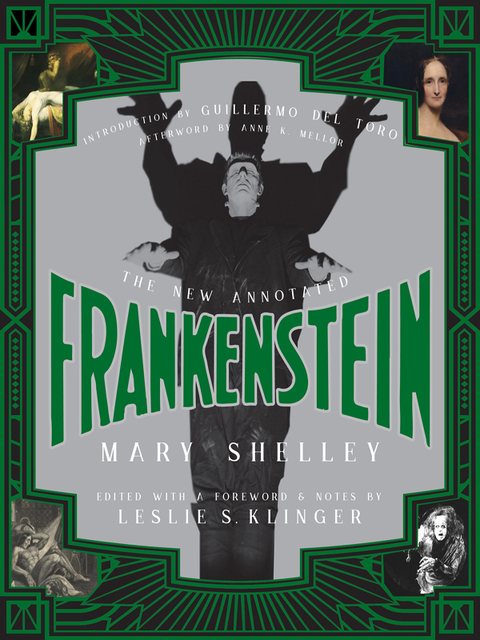 Cover image for book The New Annotated Frankenstein