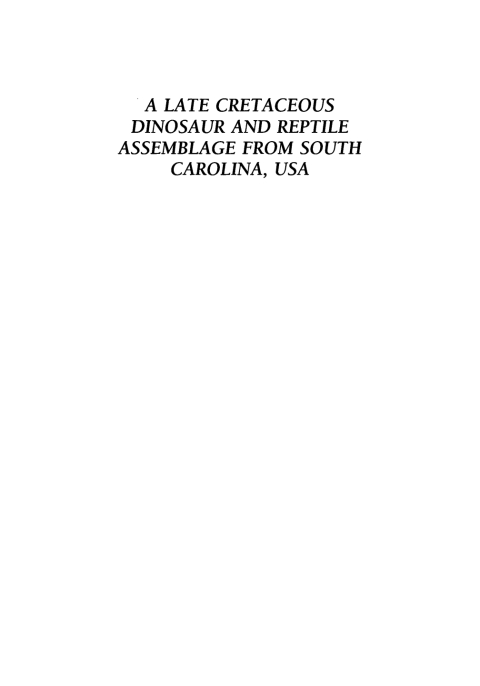 Cover image for book A Late Cretaceous Dinosaur & Reptile Assemblage from South Carolina, USA