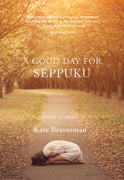 Cover image for book A Good Day for Seppuku
